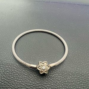 Pandora bracelet